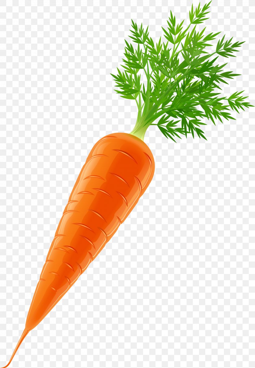 Vegetable Carrot Clip Art, PNG, 2239x3230px, Vegetable, Baby Carrot, Carotene, Carrot, Food Download Free