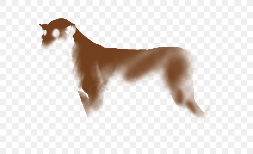 Dog Breed Italian Greyhound Lion Saluki Felidae, PNG, 640x500px, Dog Breed, Brown, Carnivoran, Companion Dog, Dog Download Free