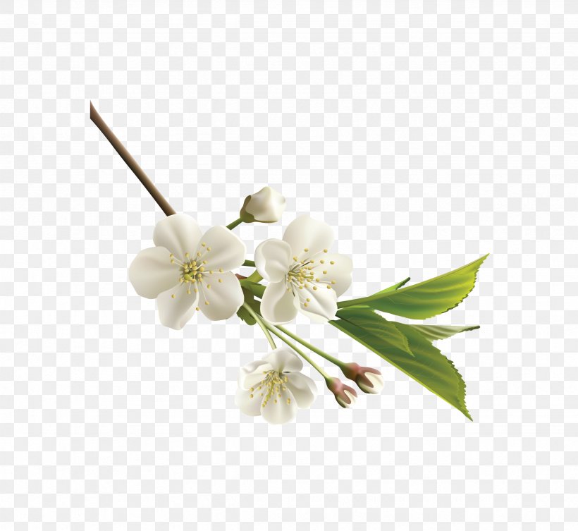 Flower White Clip Art, PNG, 2463x2263px, Flower, Blossom, Branch, Cherry Blossom, Cut Flowers Download Free