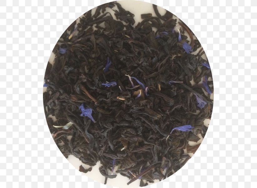Nilgiri Tea Dianhong Tea Plant, PNG, 545x600px, Nilgiri Tea, Assam Tea, Bancha, Ceylon Tea, Chun Mee Tea Download Free
