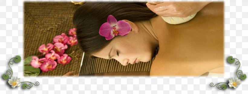 Sunshine Thai Massage & Spa Masseur, PNG, 900x343px, Massage, Artificial Flower, Beauty, Cut Flowers, Ear Download Free