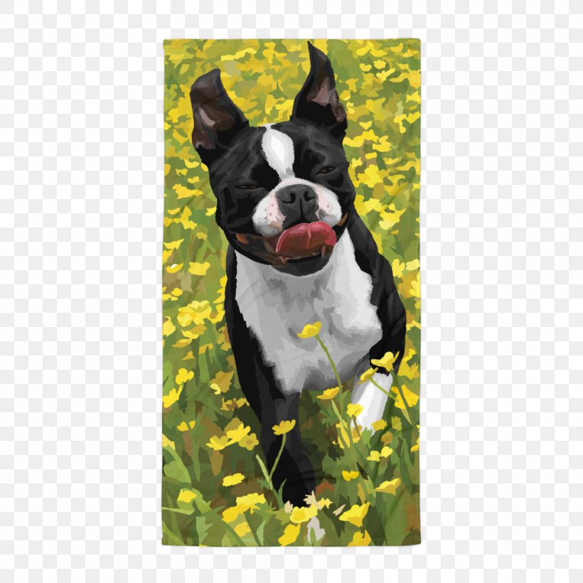 Boston Terrier Puppy Dog Breed Non-sporting Group Snout, PNG, 1000x1000px, Boston Terrier, Breed, Carnivoran, Dog, Dog Breed Download Free