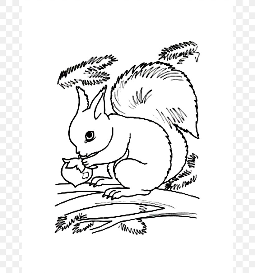 Flying Squirrel Coloring Book Red Squirrel Clip Art, PNG, 678x878px, Squirrel, Animal, Area, Art, Artwork Download Free