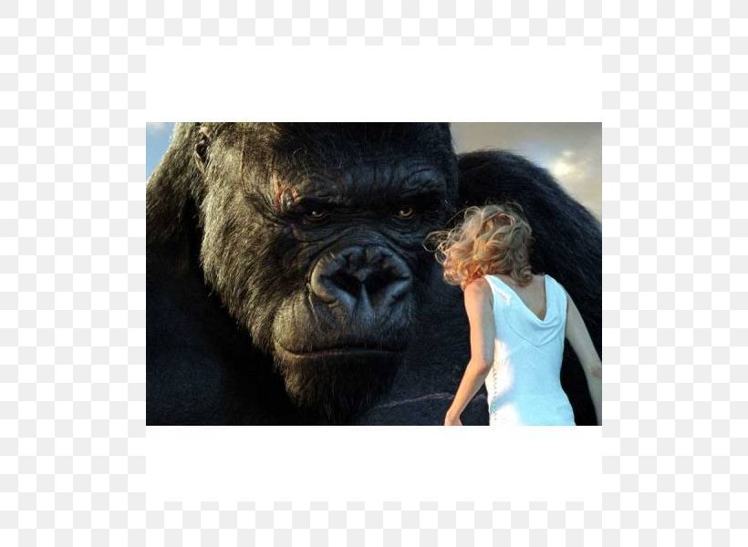 Peter Jackson's King Kong Skull Island Film Monster, PNG, 800x600px, King Kong, Ape, Brie Larson, Chimpanzee, Cinema Download Free