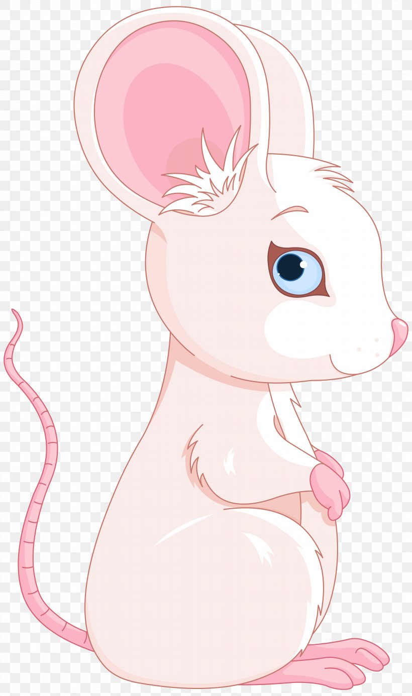 Rabbit Rat Mouse Whiskers Illustration, PNG, 3630x6138px, Watercolor, Cartoon, Flower, Frame, Heart Download Free