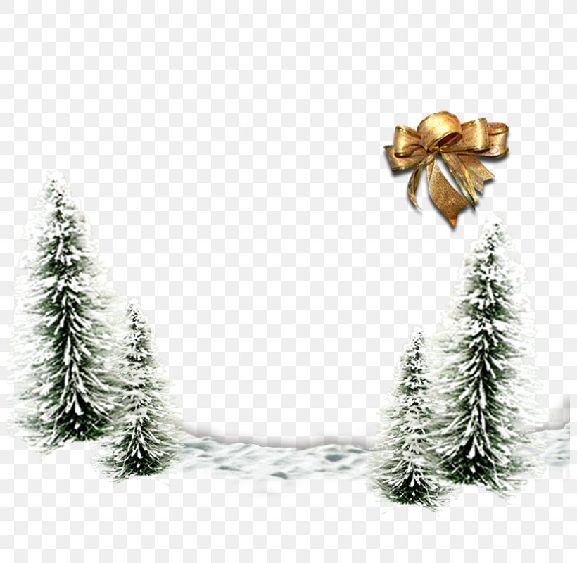 Christmas Tree Wallpaper, PNG, 800x800px, Christmas, Branch, Cedar, Christmas Card, Christmas Decoration Download Free