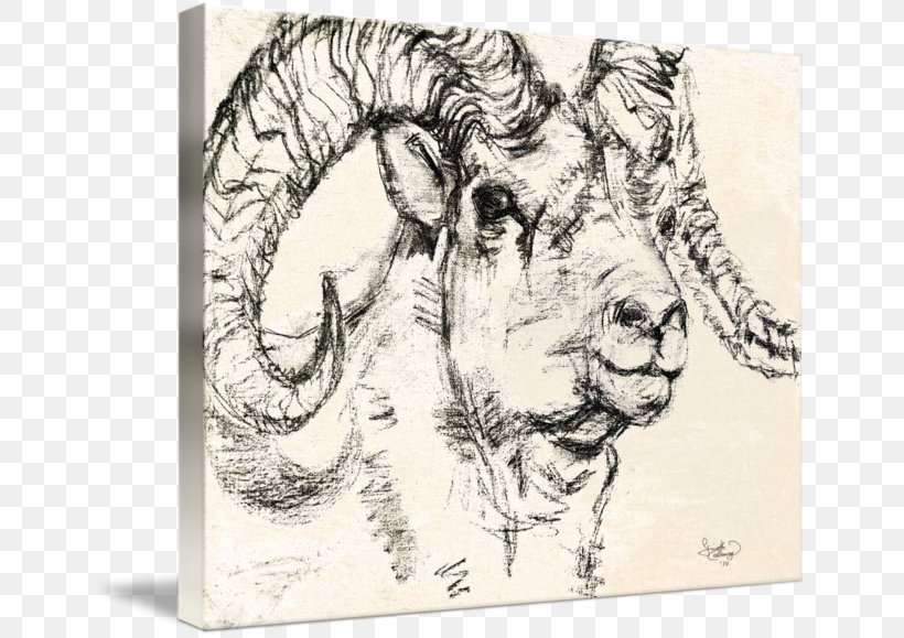 Dall Sheep Goat Drawing Charcoal, PNG, 650x579px, Sheep, Art, Artwork, Big Cats, Black And White Download Free