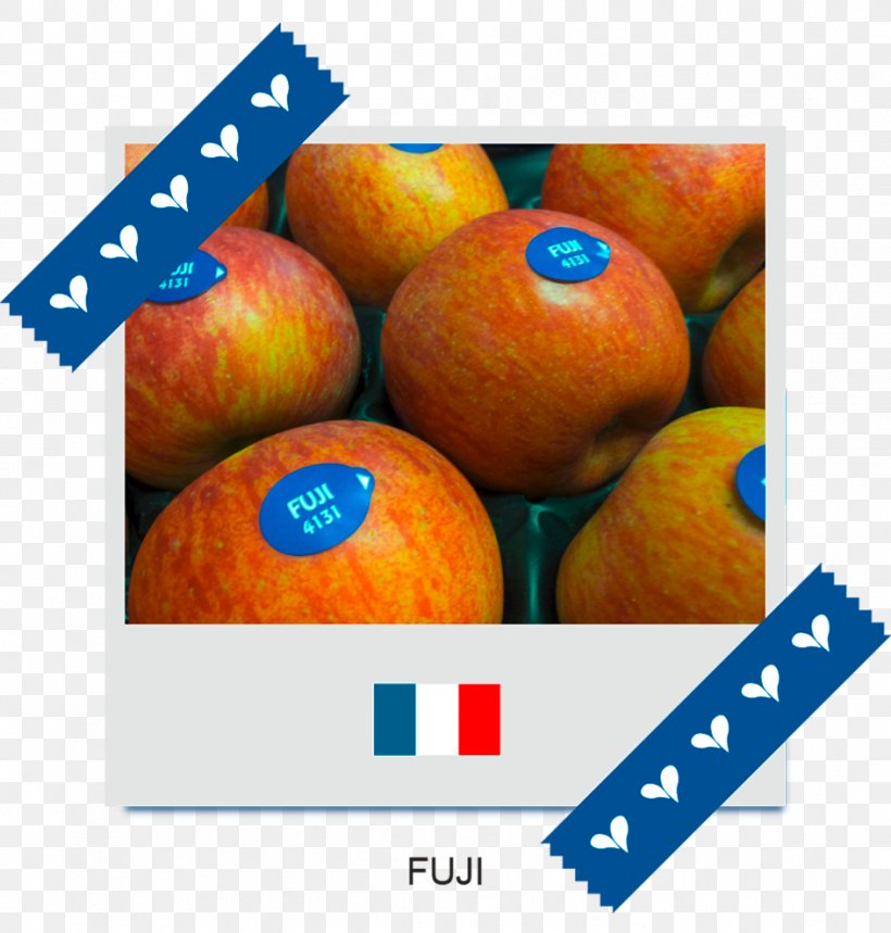Tangerine Clementine Mandarin Orange, PNG, 944x990px, Tangerine, Citrus, Clementine, Food, Fruit Download Free