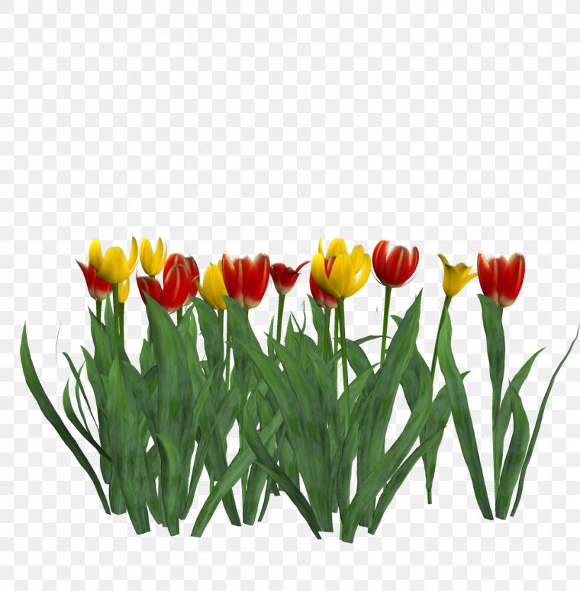 Tulip Cut Flowers Petal Plant Stem, PNG, 1000x1020px, Tulip, Cut Flowers, Flower, Flowering Plant, Flowerpot Download Free