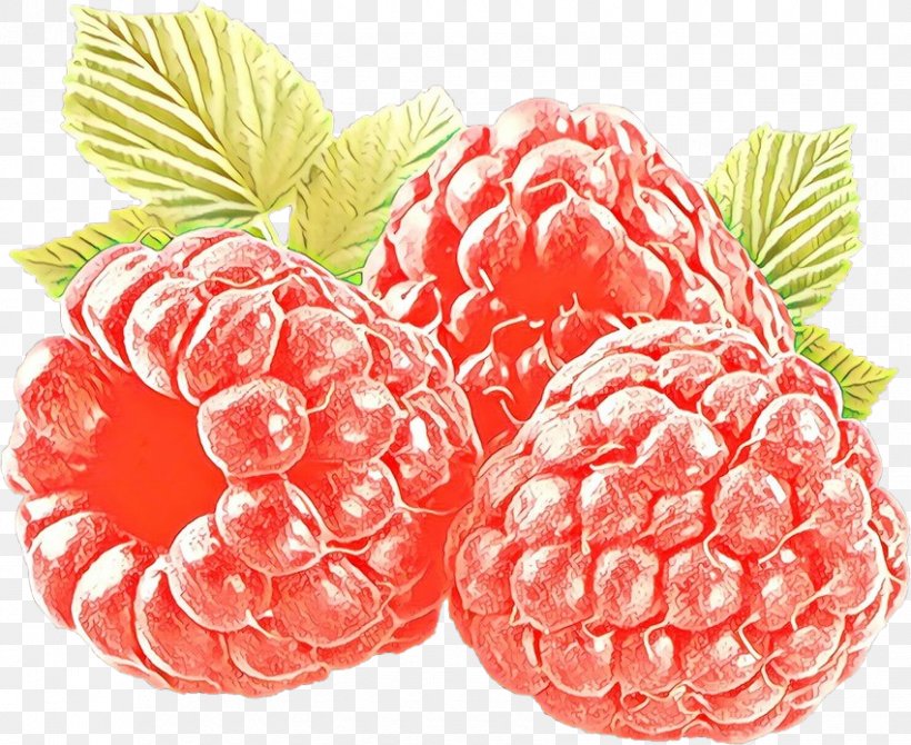 Berry Raspberry Fruit Natural Foods Food, PNG, 850x695px, Cartoon, Berry, Blackberry, Food, Fruit Download Free