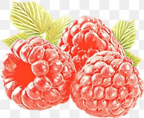 Plant Superfruit - Berry Raspberry Fruit Natural Foods Food PNG