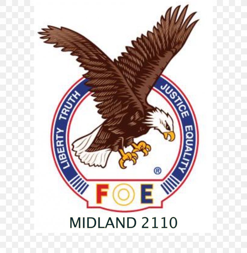 Fraternal Order Of Eagles #4208 Fraternity Philadelphia Eagles, PNG, 1000x1021px, Fraternal Order Of Eagles, Accipitriformes, Association, Bald Eagle, Beak Download Free