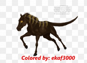 Horse Hound - Mane Mustang Stallion Pony Foal PNG