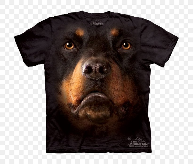 Rottweiler T-shirt Bernese Mountain Dog Divine Dogs Online, PNG, 700x700px, Rottweiler, Animal, Bernese Mountain Dog, Breed, Carnivoran Download Free