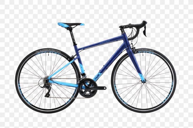Giant Bicycles Racing Bicycle Bicycle Shop Bicycle Frames, PNG, 1200x800px, Giant Bicycles, Bicycle, Bicycle Accessory, Bicycle Drivetrain Part, Bicycle Frame Download Free