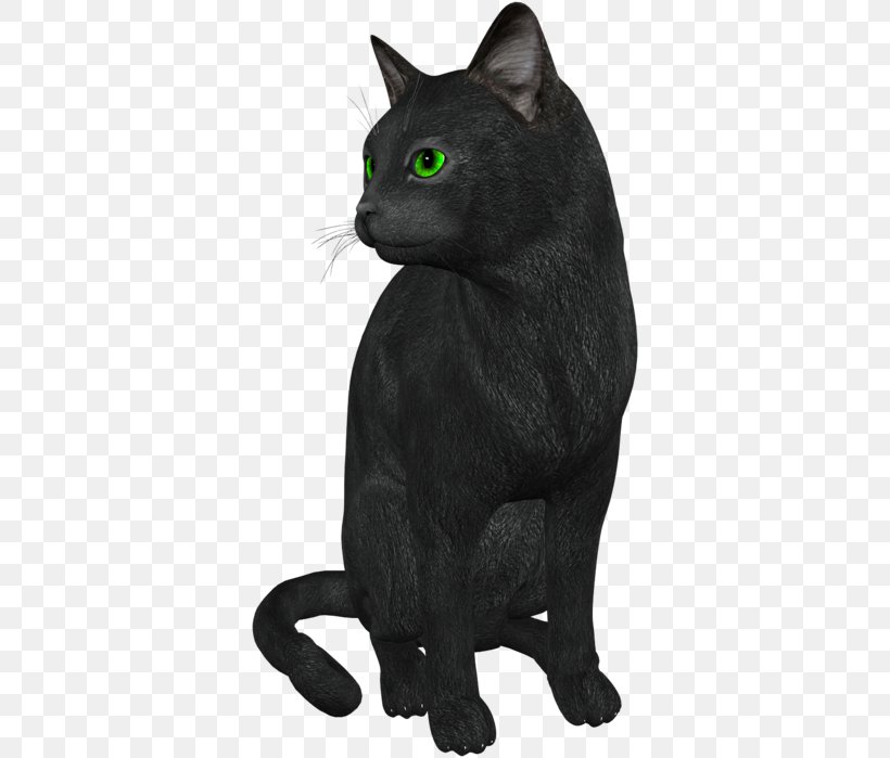 Bombay Cat Russian Blue Black Cat Malayan Cat Chartreux, PNG, 358x699px, Bombay Cat, Asian, Black Cat, Bombay, Burmese Download Free