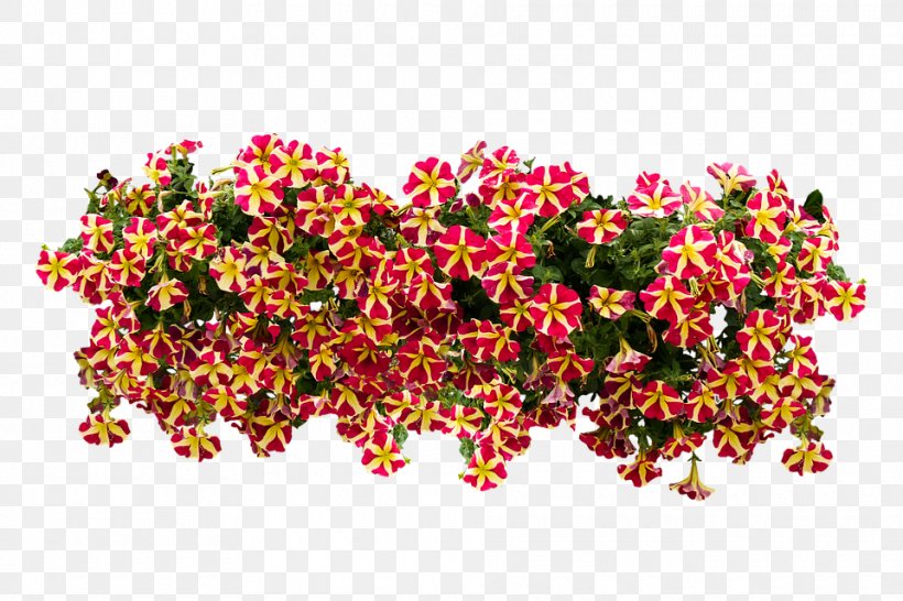 Floral Design Flower Clip Art Image, PNG, 960x640px, Floral Design, Blossom, Cut Flowers, Flora, Flower Download Free