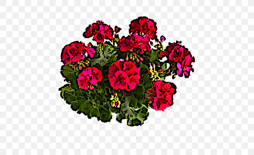 Flower Plant Pink Petal Annual Plant, PNG, 535x500px, Flower, Annual Plant, Geranium, Impatiens, Magenta Download Free