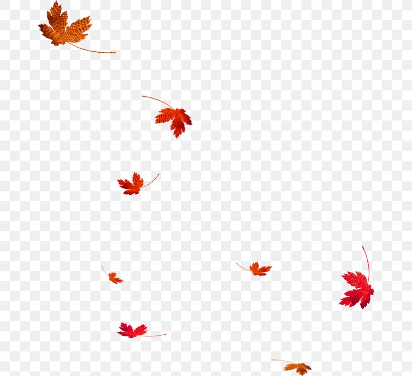 Leaf Autumn Clip Art, PNG, 670x749px, Leaf, Autumn, Autumn Leaf Color, Deciduous, Flower Download Free
