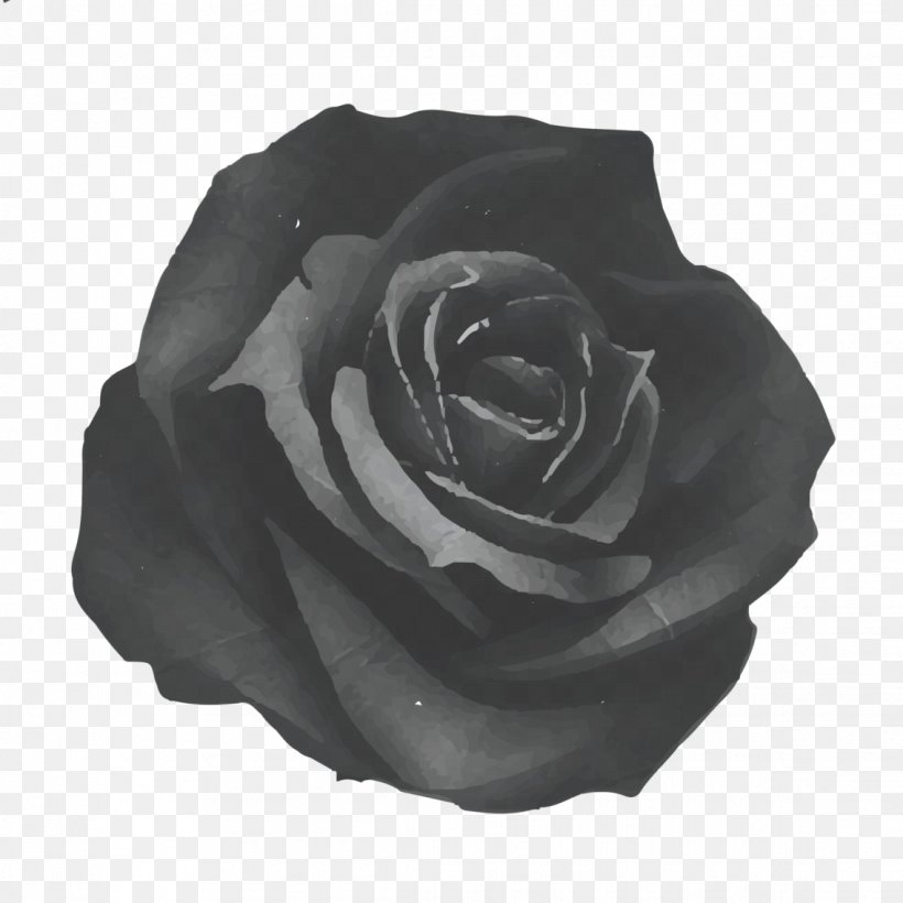 Rose Art, PNG, 1136x1136px, Rose, Art, Black, Black And White, Black ...