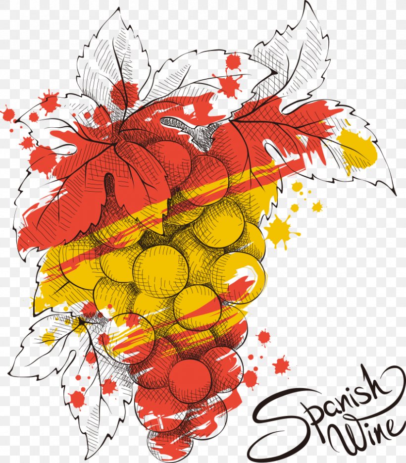 Spain Grape Euclidean Vector Illustration, PNG, 845x964px, Spain, Art, Drawing, Floral Design, Flowering Plant Download Free