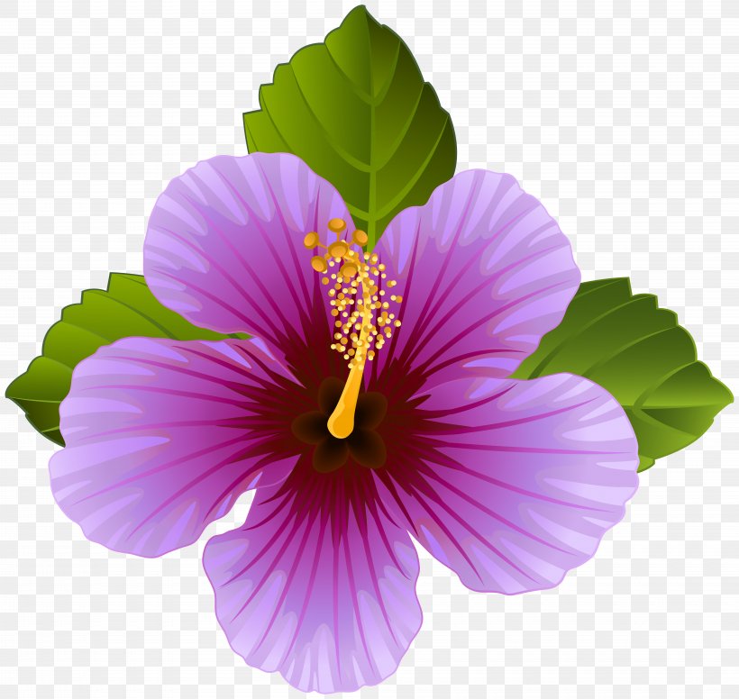 Flower Purple Desktop Wallpaper Clip Art, PNG, 8000x7573px, Flower, Annual Plant, Art, Chinese Hibiscus, Decoupage Download Free