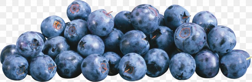 Frutti Di Bosco European Blueberry, PNG, 5847x1904px, Blueberry, Auglis, Bearberry, Berry, Bilberry Download Free