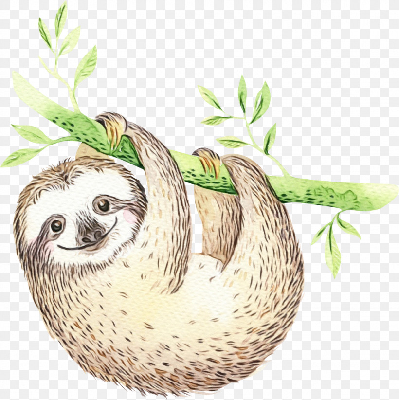 Sloth Three-toed Sloth Two-toed Sloth Plant Drawing, PNG, 1024x1027px, Watercolor, Bird Nest, Drawing, Paint, Plant Download Free