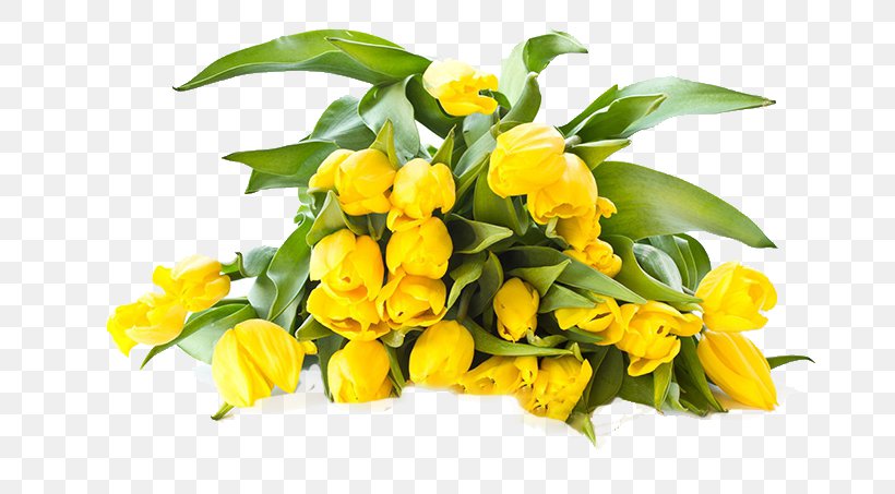 Tulip Flower Bouquet Yellow Wallpaper, PNG, 680x453px, Tulip, Color, Cut Flowers, Floral Design, Floristry Download Free