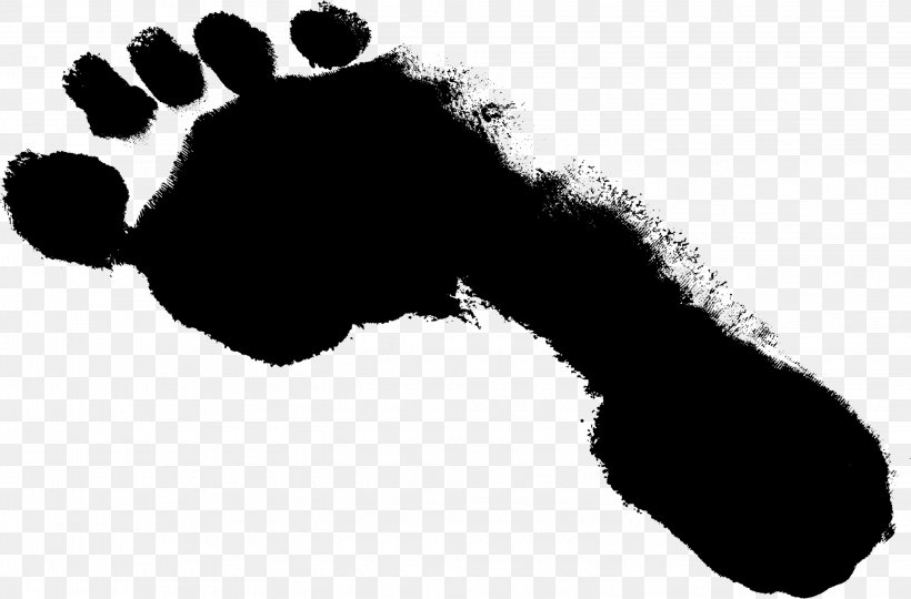 Footprint Monochrome Photography, PNG, 2847x1877px, Footprint, Black, Black And White, Hand, Monochrome Download Free