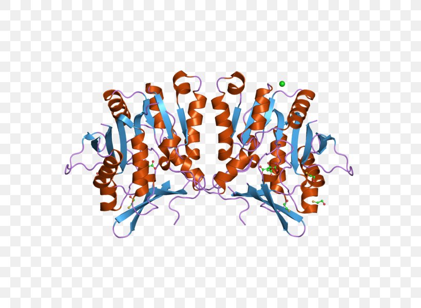 Glycine N-methyltransferase GNMT Enzyme Tamen, PNG, 800x600px, Glycine Nmethyltransferase, Arsenic, Computer, Enzyme, Glycine Download Free