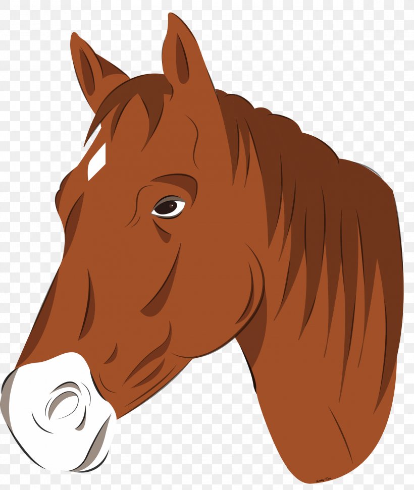Mustang Pony Horse Head Mask Clip Art, PNG, 2345x2777px, Mustang, Animal,  Art, Bridle, Cartoon Download Free