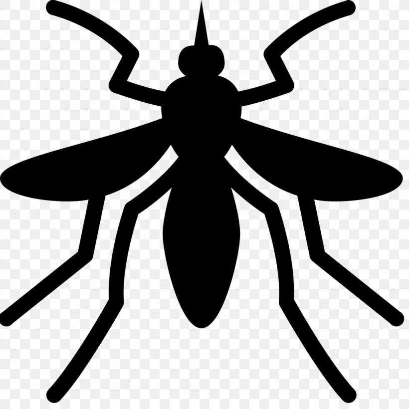 Yellow Fever Insect, PNG, 1024x1024px, Yellow Fever, Aedes, Insect, Membranewinged Insect, Mosquito Download Free