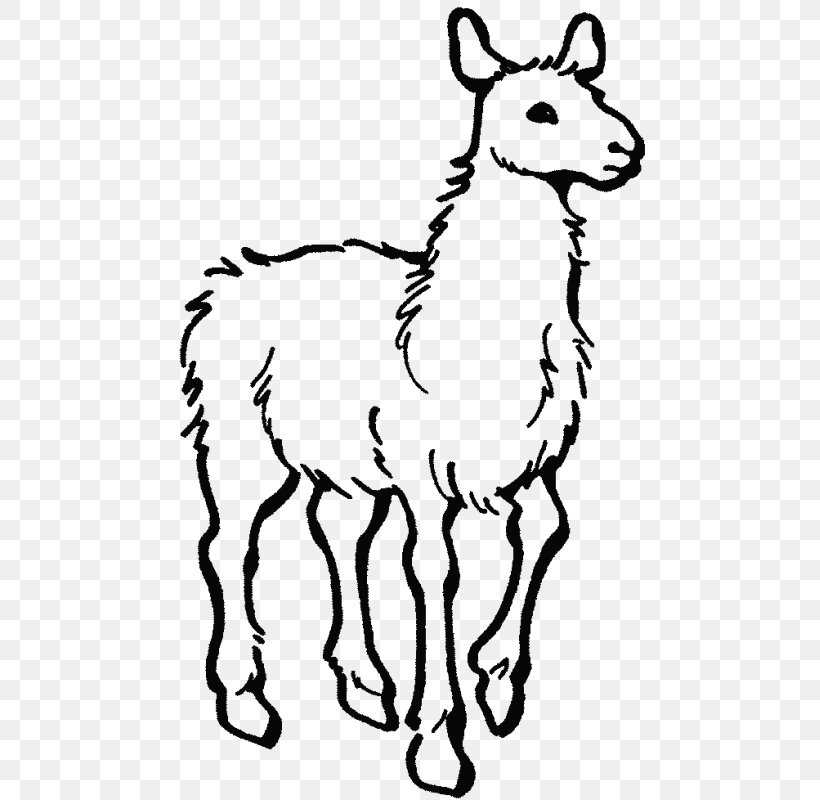 Alpaca Colouring Pages Llama Llama Home With Mama Coloring Book, PNG, 479x800px, Alpaca, Adult, Animal, Animal Figure, Black And White Download Free