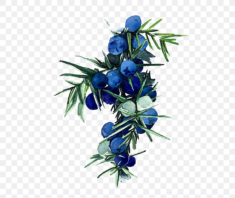 Floral Design Blueberry Watercolor Painting, PNG, 513x692px, Floral Design, Blue, Blueberry, Branch, Cut Flowers Download Free