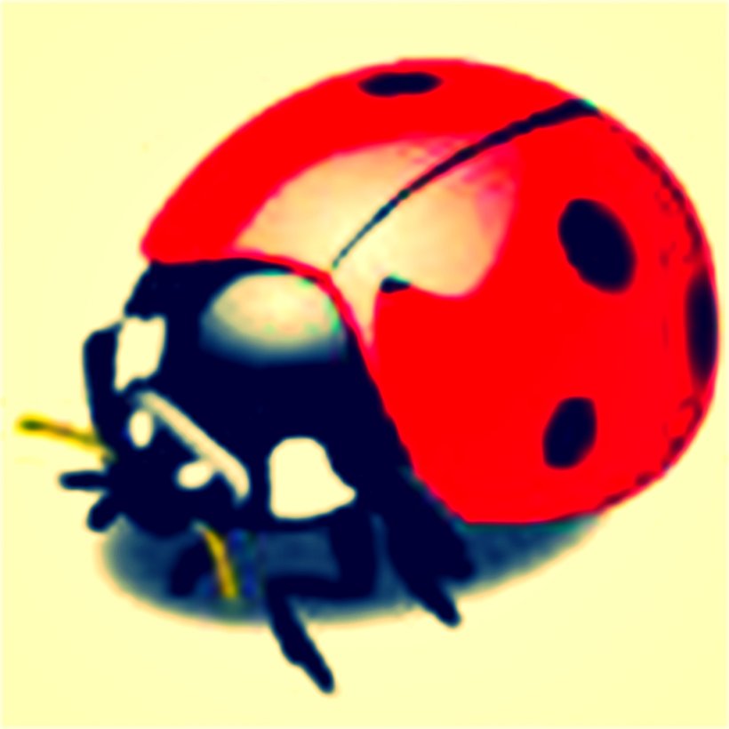 Insect Ladybird Drawing Clip Art, PNG, 1024x1024px, Insect, Beetle, Cartoon, Drawing, Invertebrate Download Free