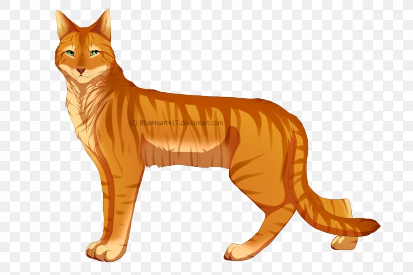 Whiskers Cat Red Fox Fauna Puma, PNG, 1024x683px, Whiskers, Big Cat, Big Cats, Carnivoran, Cat Download Free