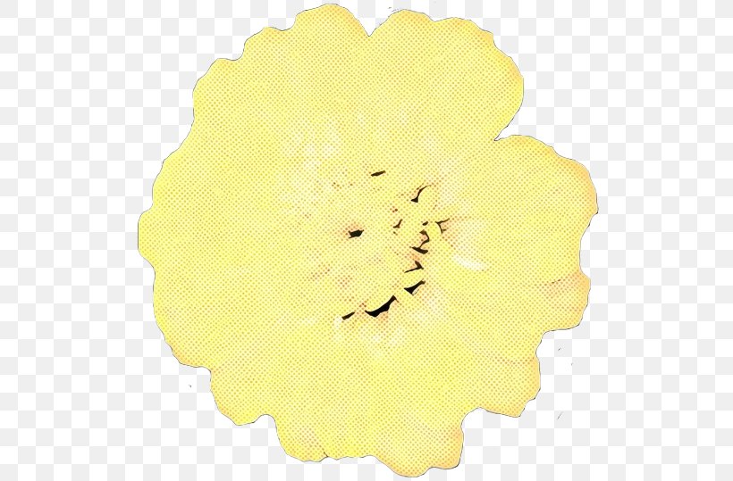 Petal Yellow Cut Flowers, PNG, 527x539px, Petal, Cut Flowers, Flower, Plant, Yellow Download Free