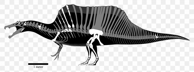 Spinosaurus Baryonyx ARK: Survival Evolved Tyrannosaurus Theropods, PNG, 4550x1700px, Spinosaurus, Animal Figure, Apex Predator, Ark Survival Evolved, Baryonyx Download Free