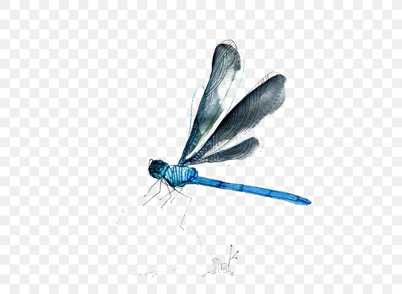 Watercolor Painting, PNG, 515x600px, Watercolor Painting, Arthropod, Color, Dots Per Inch, Dragonflies And Damseflies Download Free