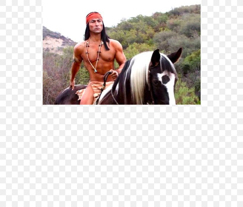 American Indian Horse Native Americans In The United States Equestrian Riding Horse Plains Indians, PNG, 700x700px, American Indian Horse, Americans, Apache, Bareback Riding, Bridle Download Free
