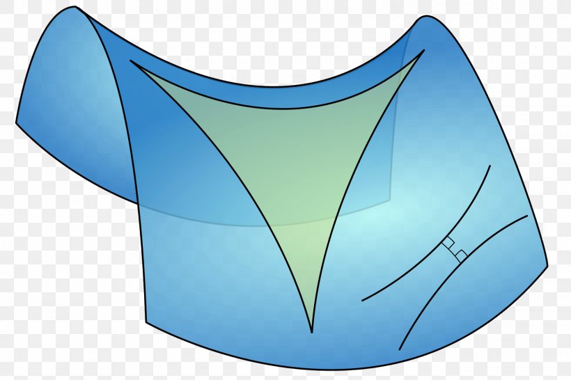 Differential Geometry Hyperbolic Geometry Mathematics Euclidean Geometry, PNG, 1600x1066px, Geometry, Algebra, Curvature, Differential Calculus, Differential Equation Download Free