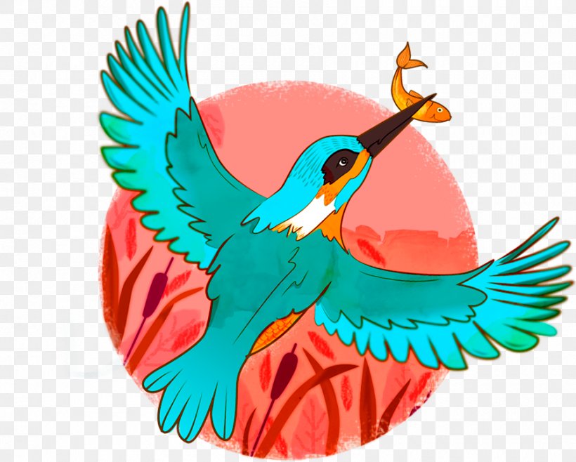 Macaw Parakeet Feather Clip Art, PNG, 900x723px, Macaw, Beak, Bird, Common Pet Parakeet, Feather Download Free