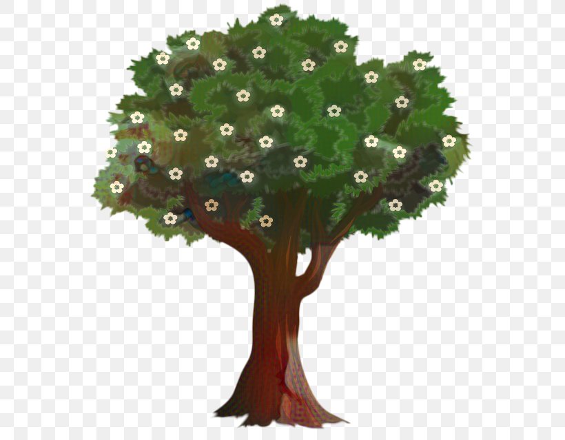 Tree Trunk Drawing, PNG, 561x639px, Tree, Apples, Arbor Day, Bark, Branch Download Free