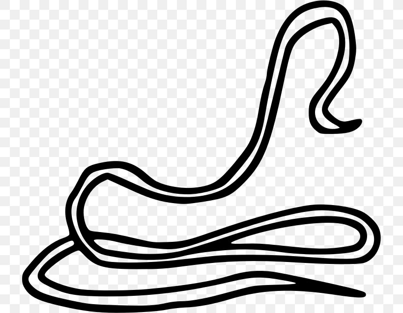 Worm Dracunculiasis Clip Art, PNG, 730x638px, 2018, Worm, Animal, Area, Artwork Download Free