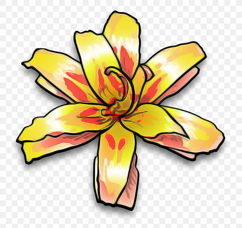 Yellow Flower Petal Plant Symbol, PNG, 800x774px, Yellow, Cut Flowers, Daylily, Flower, Herbaceous Plant Download Free