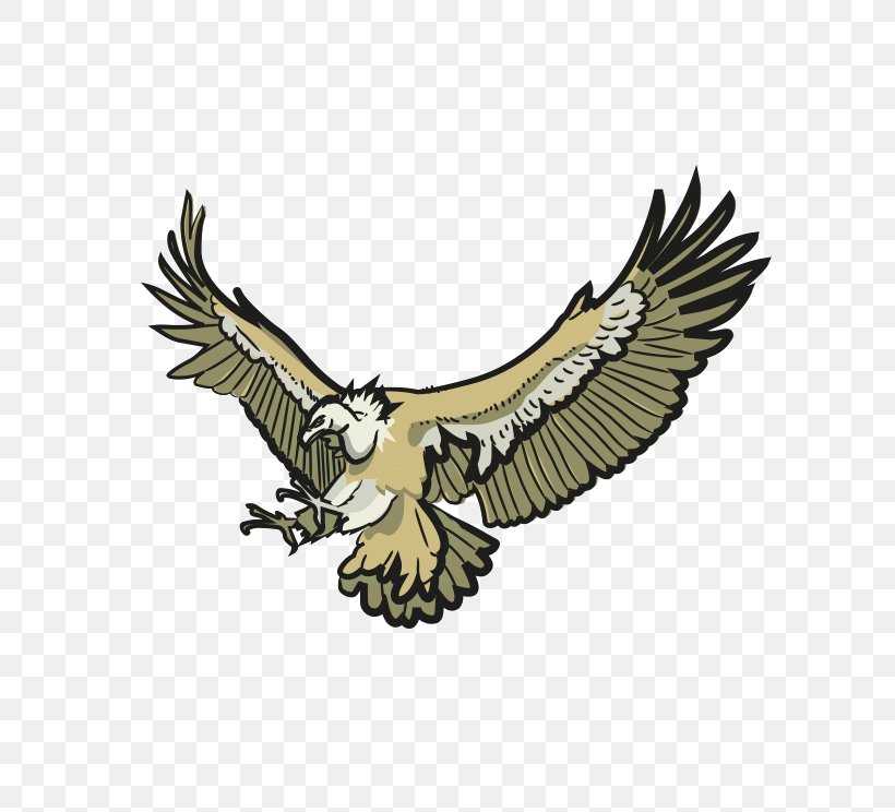 Bald Eagle Owl Hawk Buzzard, PNG, 738x744px, Bald Eagle, Accipitriformes, Beak, Bird, Bird Of Prey Download Free