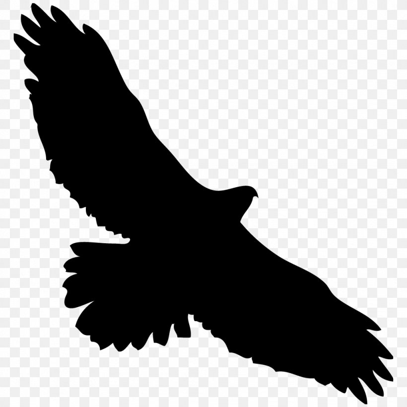 Bird Owl Sparrow Red-tailed Hawk, PNG, 1024x1024px, Bird, Accipitriformes, American Kestrel, Bald Eagle, Beak Download Free