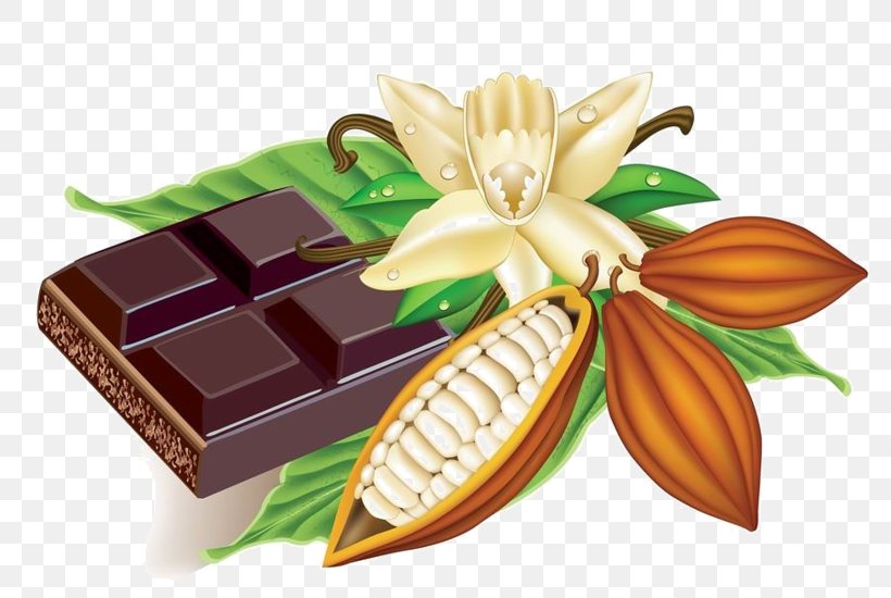 Cocoa Bean Hot Chocolate Clip Art Cacao Tree, PNG, 800x550px, Cocoa Bean, Cacao Tree, Chocolate, Cocoa Solids, Drawing Download Free