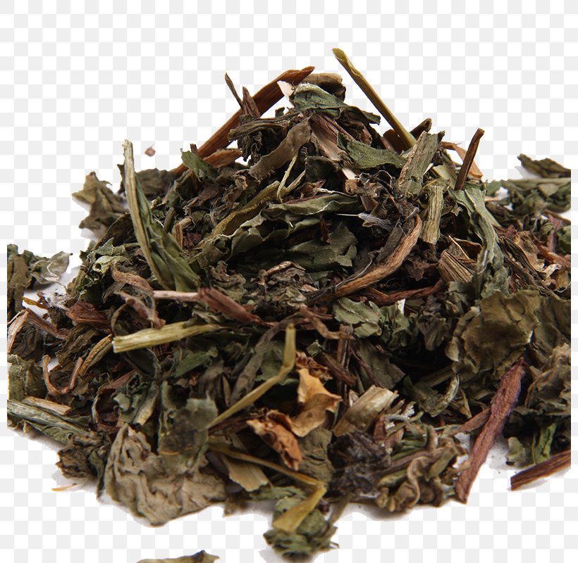 Common Dandelion Herbaceous Plant Chinese Herbology, PNG, 800x800px, Common Dandelion, Assam Tea, Bai Mudan, Bancha, Biluochun Download Free